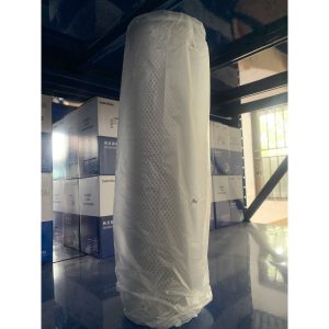 Lọc dầu thuỷ lực 60308000039