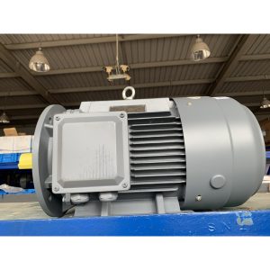 Động cơ điện 3 pha 18.5kw