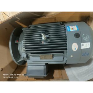 Động cơ điện 3 pha 30kw